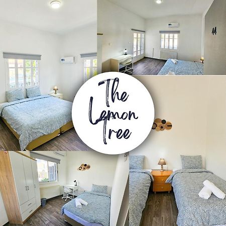 The Lemon Tree Hostel Larnaca Extérieur photo
